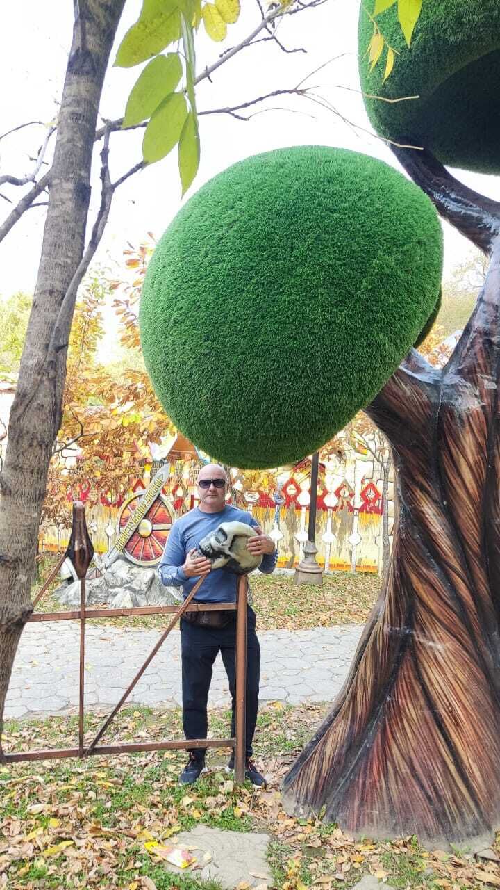 ���������� ���������, ���� ������� ��������, 51 ���, ������������ ��� ������, ����� � ���������