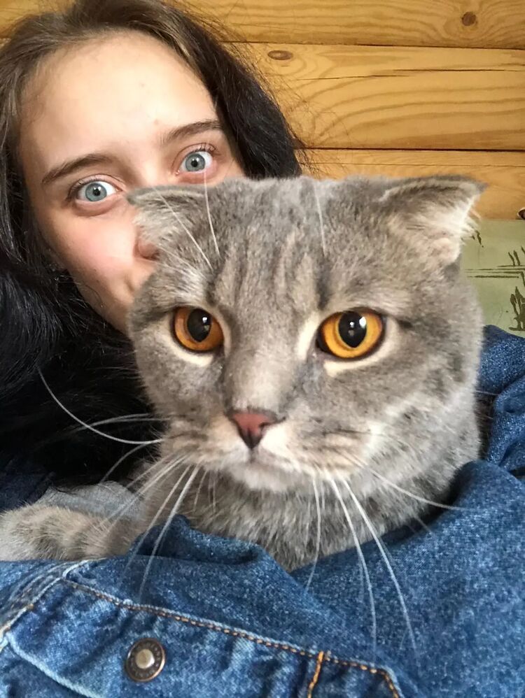 ���� 35134265 ������� ������, 25 ���, ���� ���������� � ����������