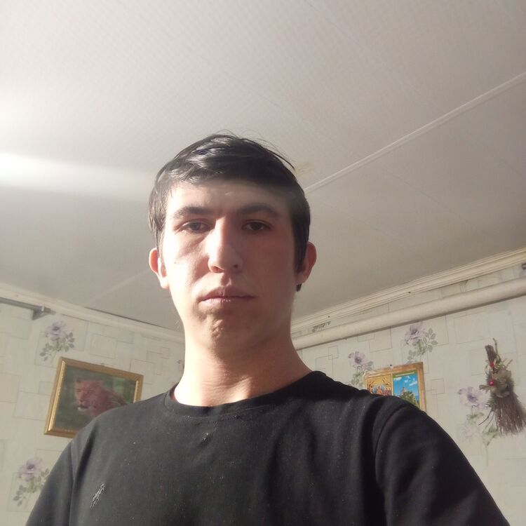  49260185  , 23 ,    