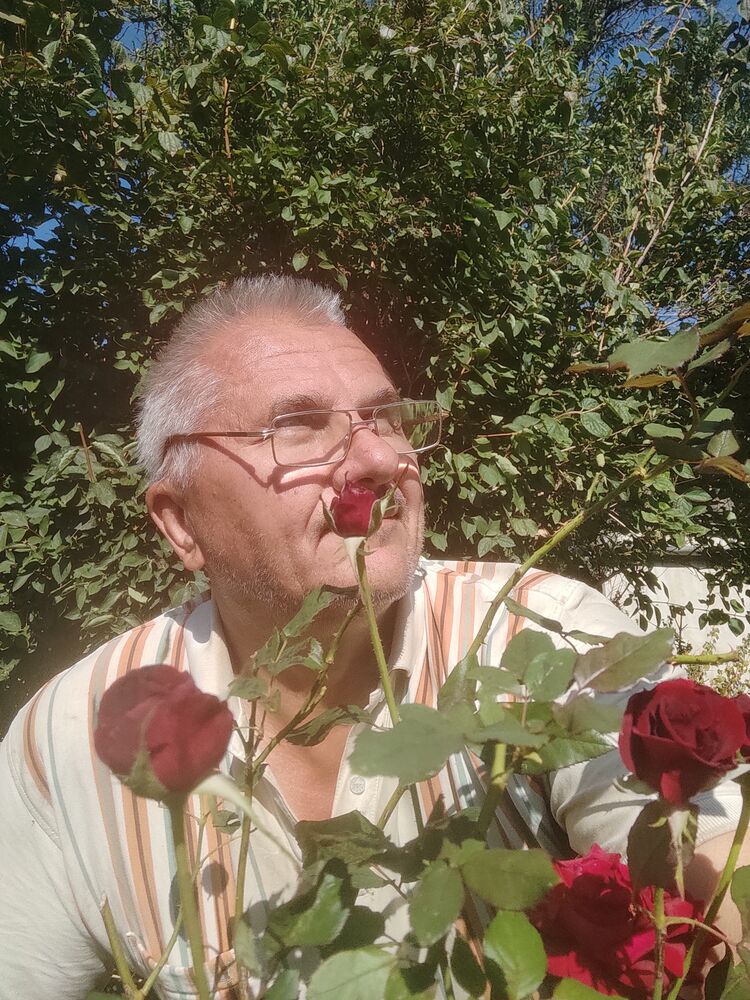  ,   , 61 ,   c 