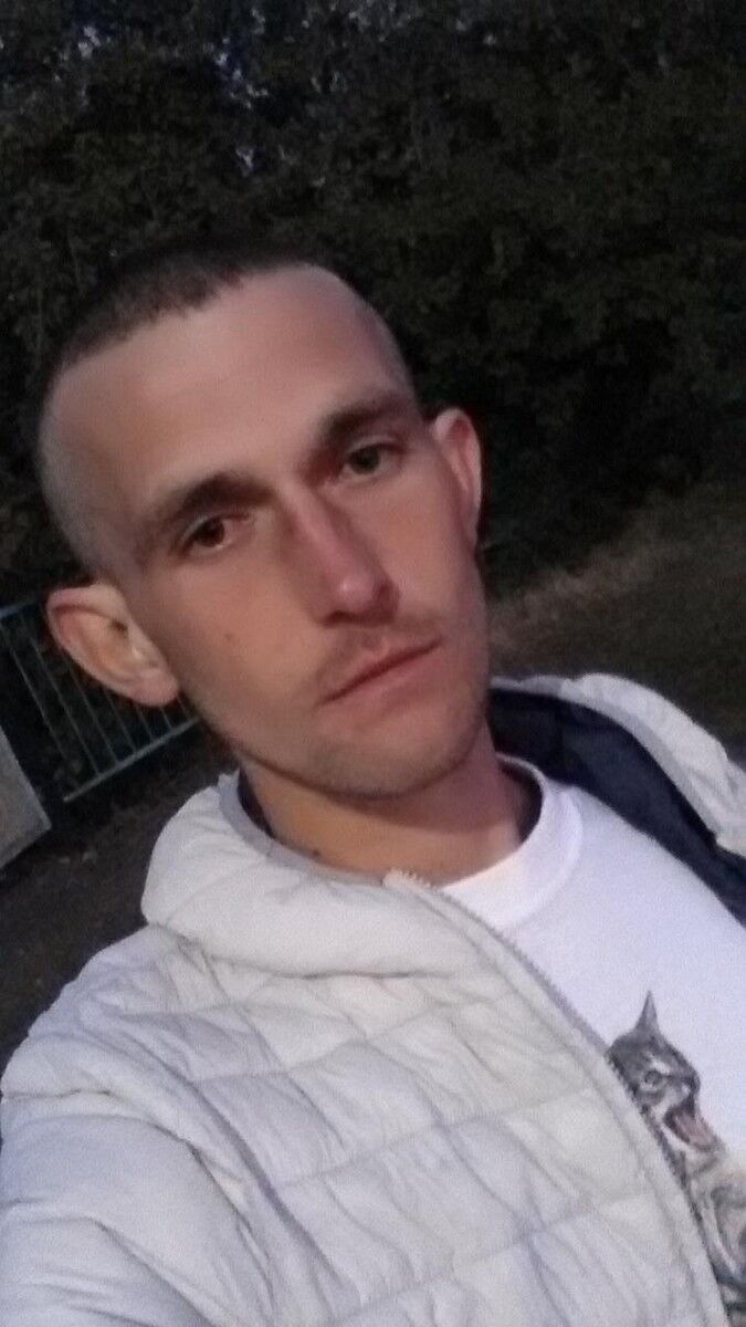  17538015  Vova, 31 ,    