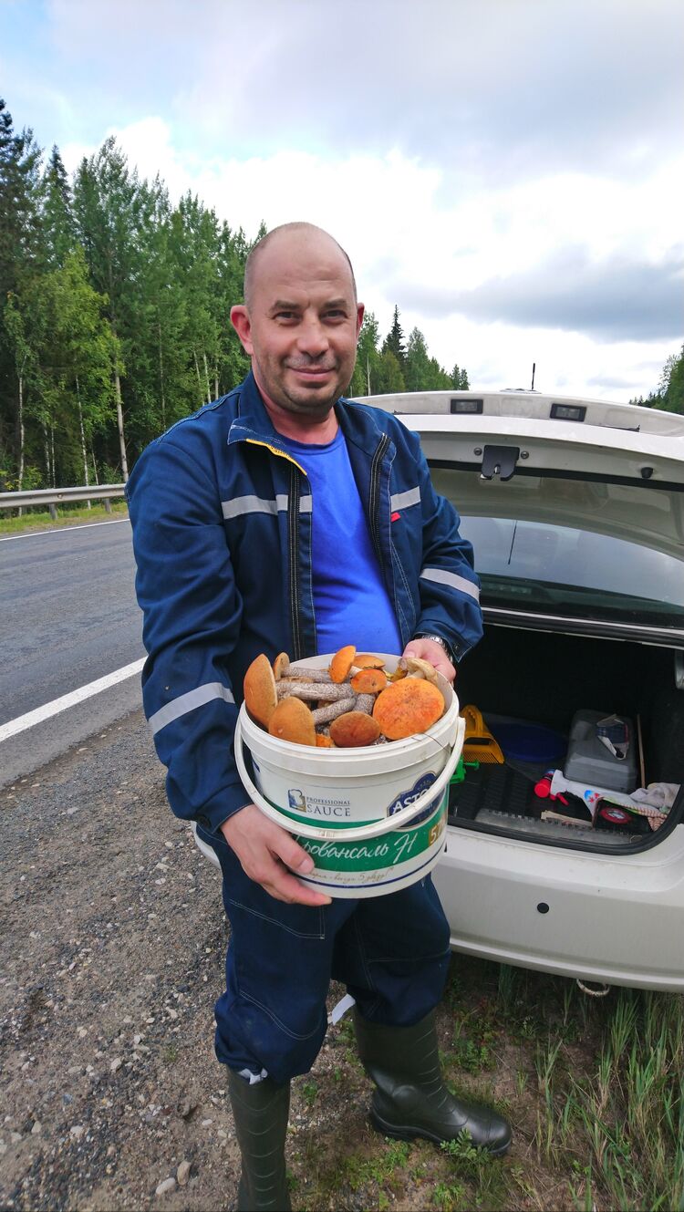 ���������� ����������, ���� ������� ���������, 50 ���, ������������ ��� ����� � ���������, c�������� ���������