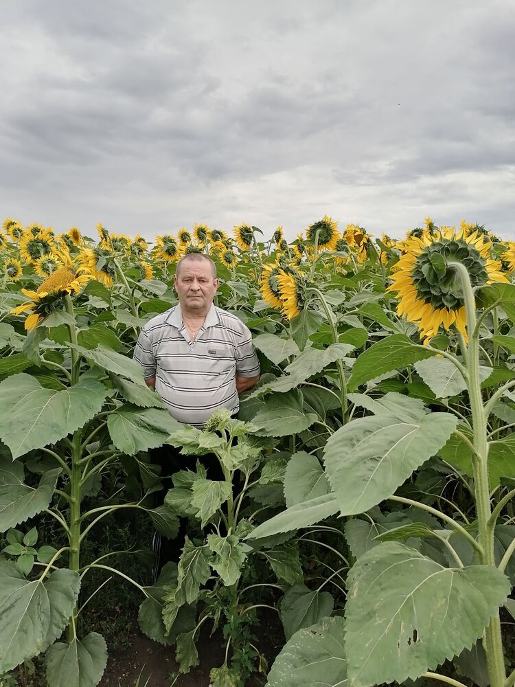 ���� 41363915 ������� ������, 56 ���, ���� ���������� � ������