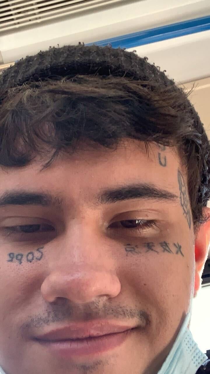  31008405  , 24 ,    