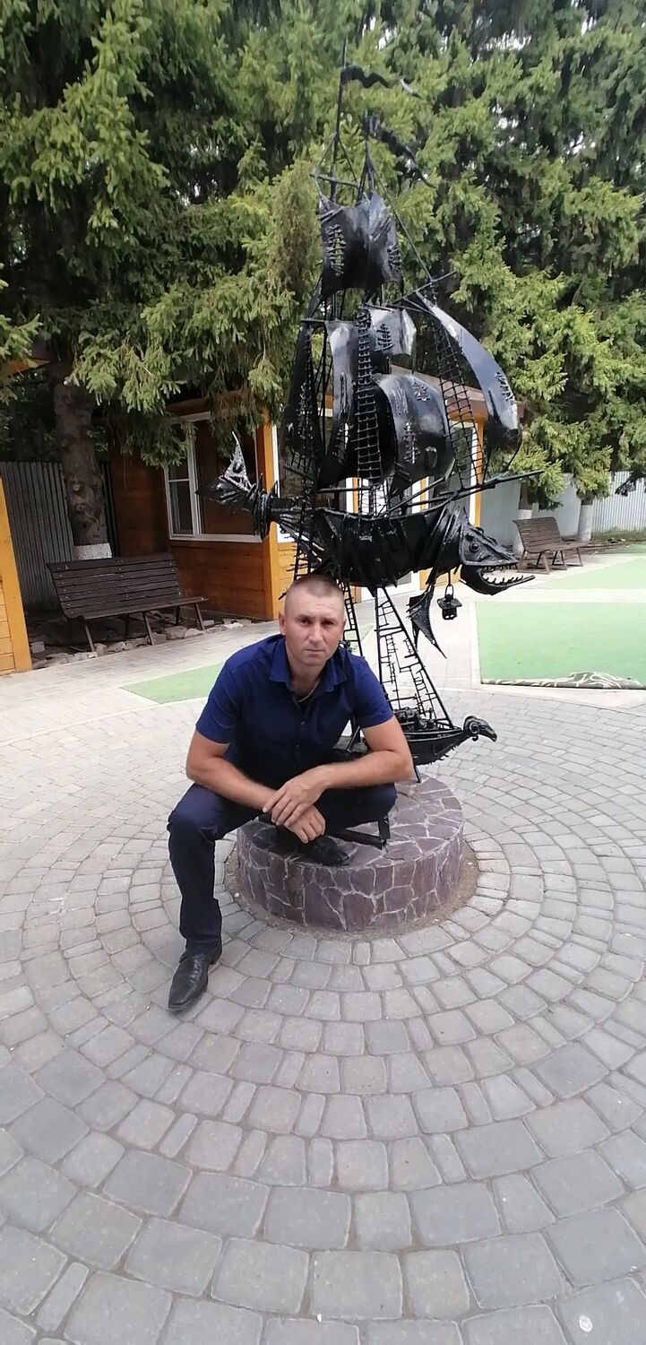  33677645  , 40 ,    