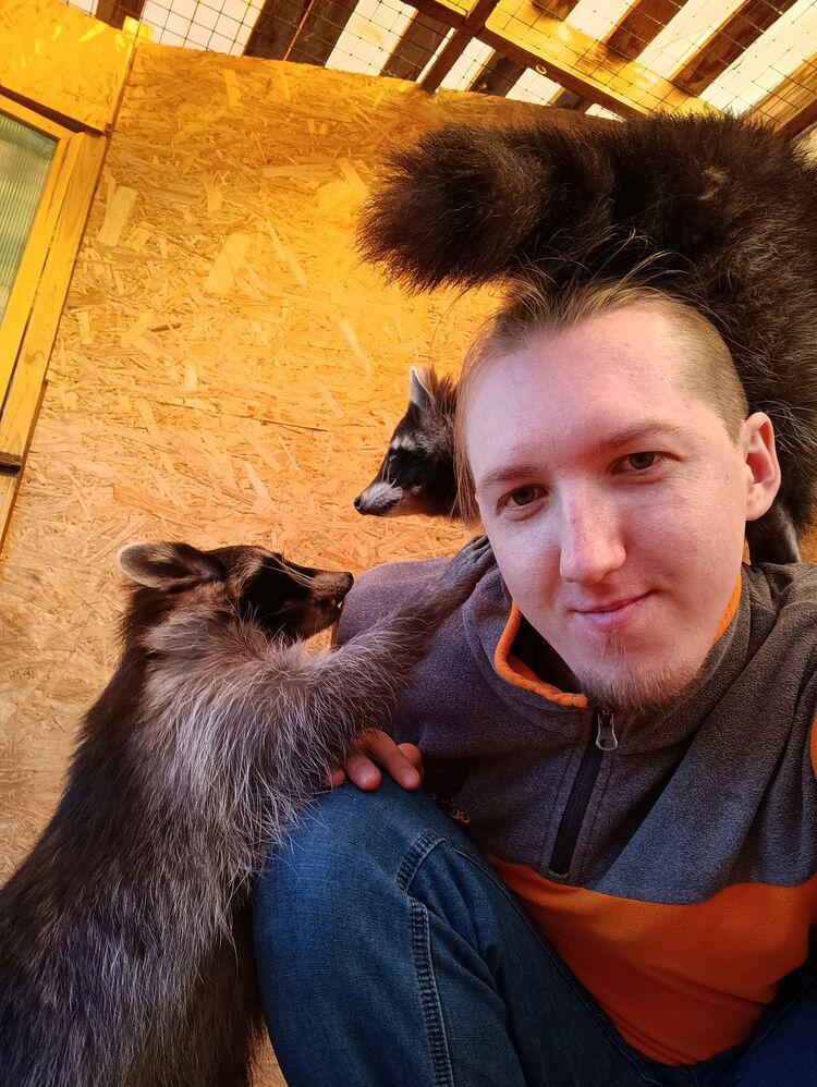   ,   , 27 ,   ,   