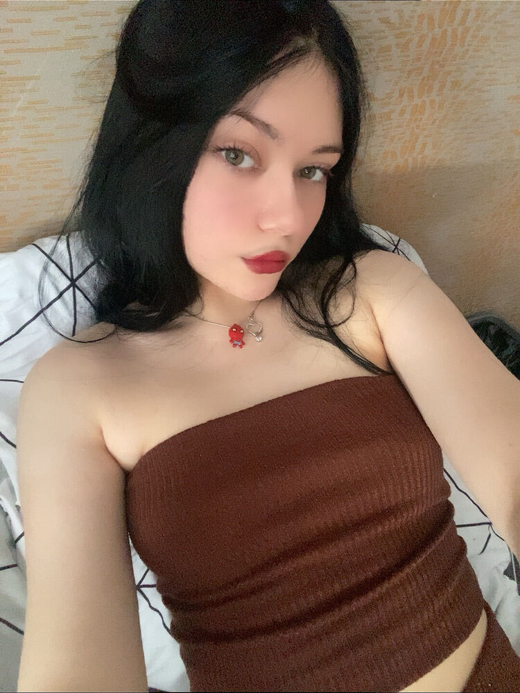  45566245  , 20 ,    