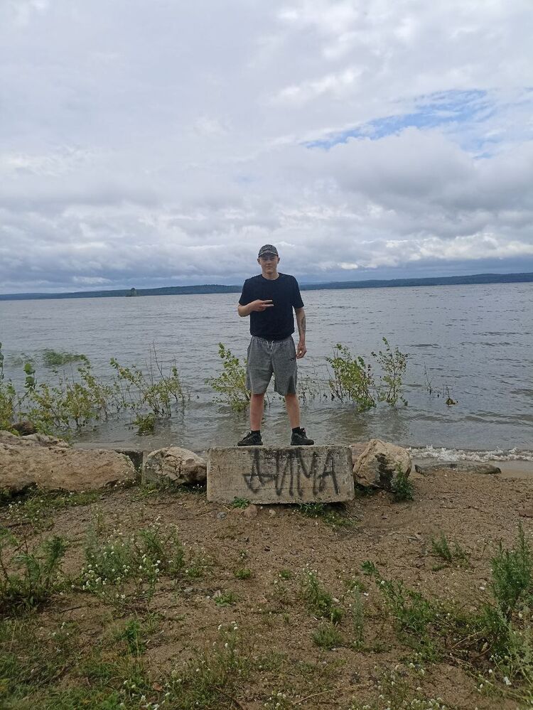  52513135  , 21 ,    -