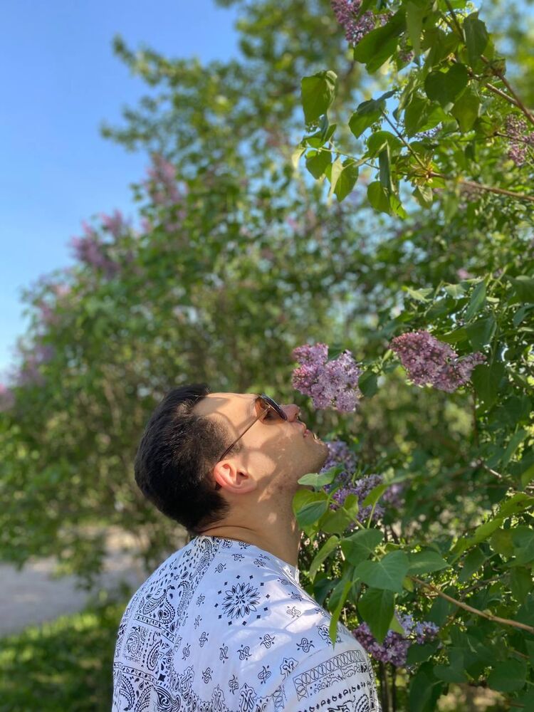  43555085  , 27 ,    -