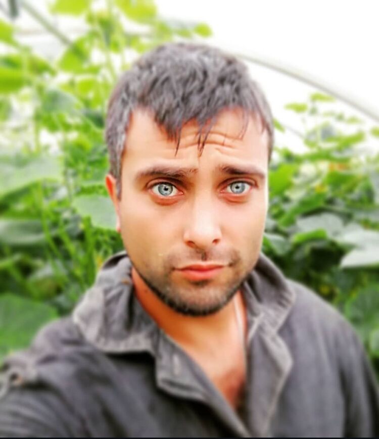 ���������� ��������, ���� ������� �������, 37 ���, ������������ ��� ������, ����� � ���������, c�������� ���������, ���������