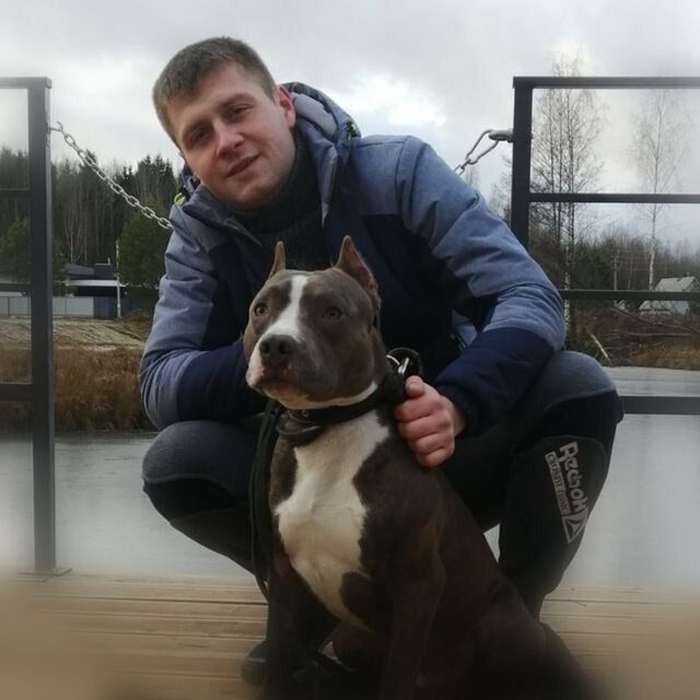 ���� 56169585 ������� �����, 32 ����, ���� ���������� � ������