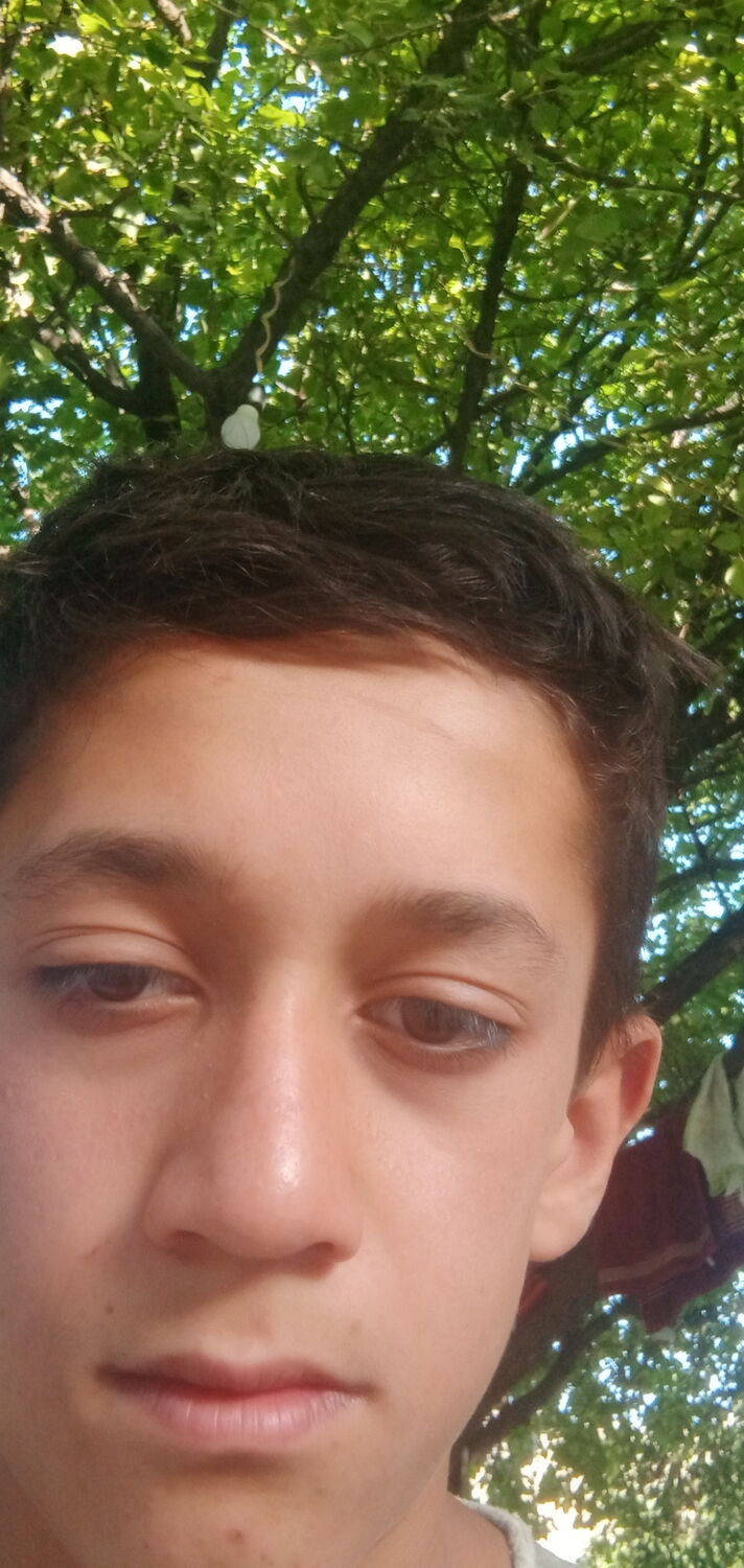  29286785  Alisher, 26 ,    