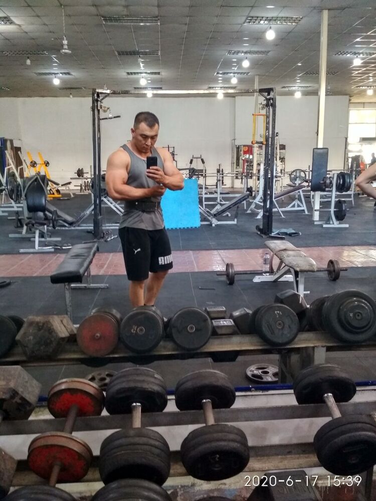  20301595  , 33 ,    