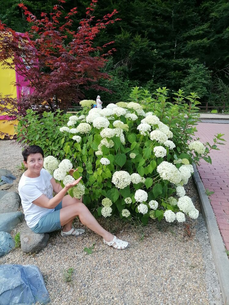 ���� 55856165 ������� �������, 61 ���, ���� ���������� � ���������