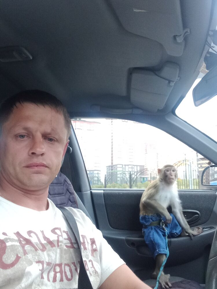  --,   , 42 ,     , c 