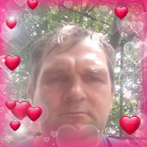 ���� 23388475 ������� ������, 46 ���, ���� ���������� � ����������