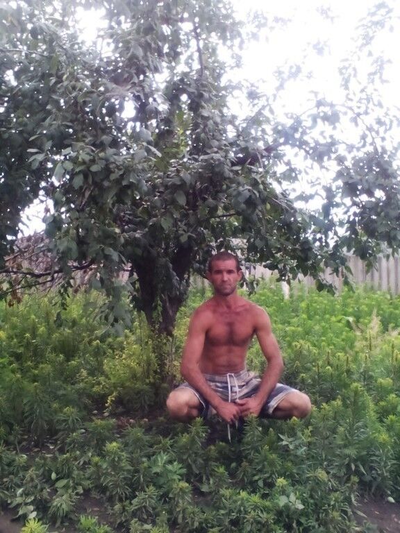  15191185  Vv, 43 ,    