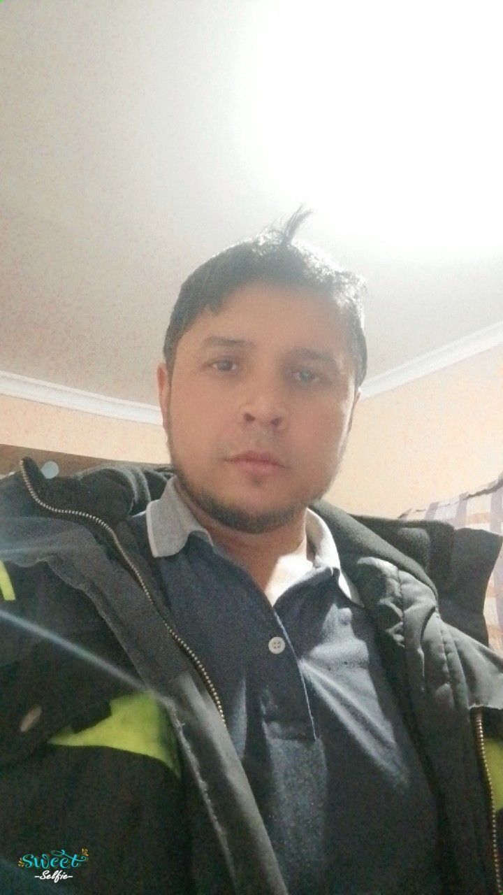  49762215  , 31 ,    
