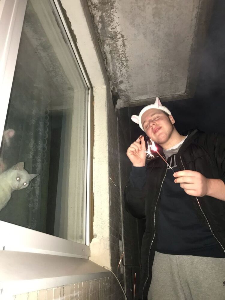  28651835  , 23 ,    -