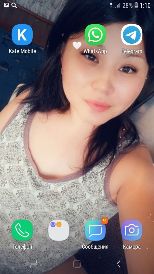  44530865  , 28 ,    