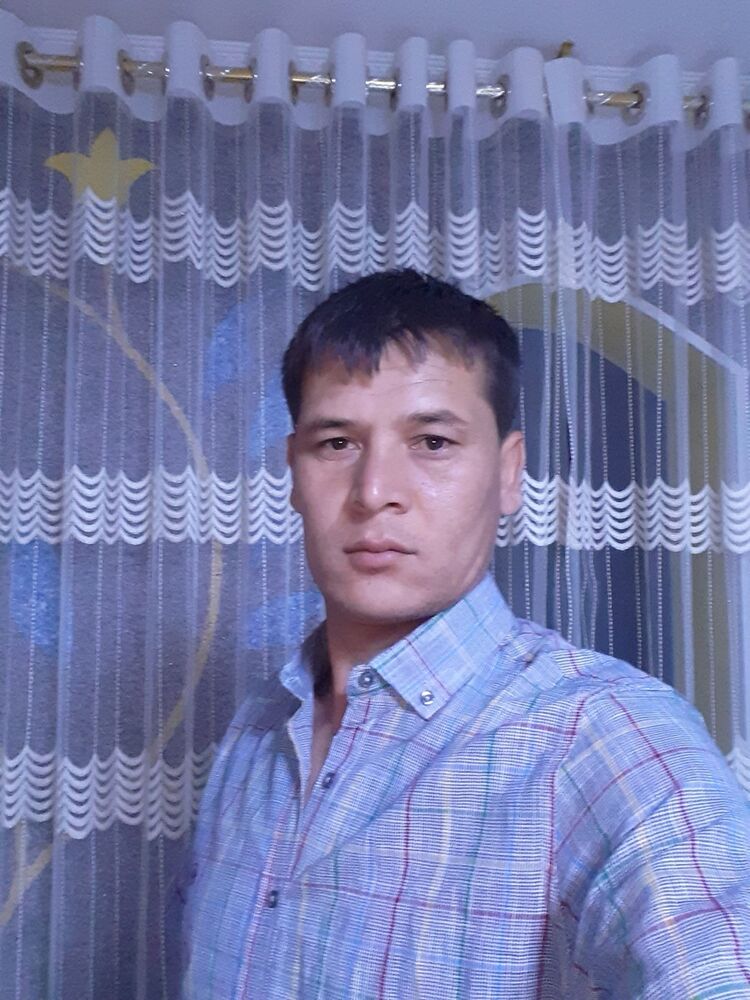 ���� 17786045 ������� Sarvar, 41 ���, ���� ���������� � �������