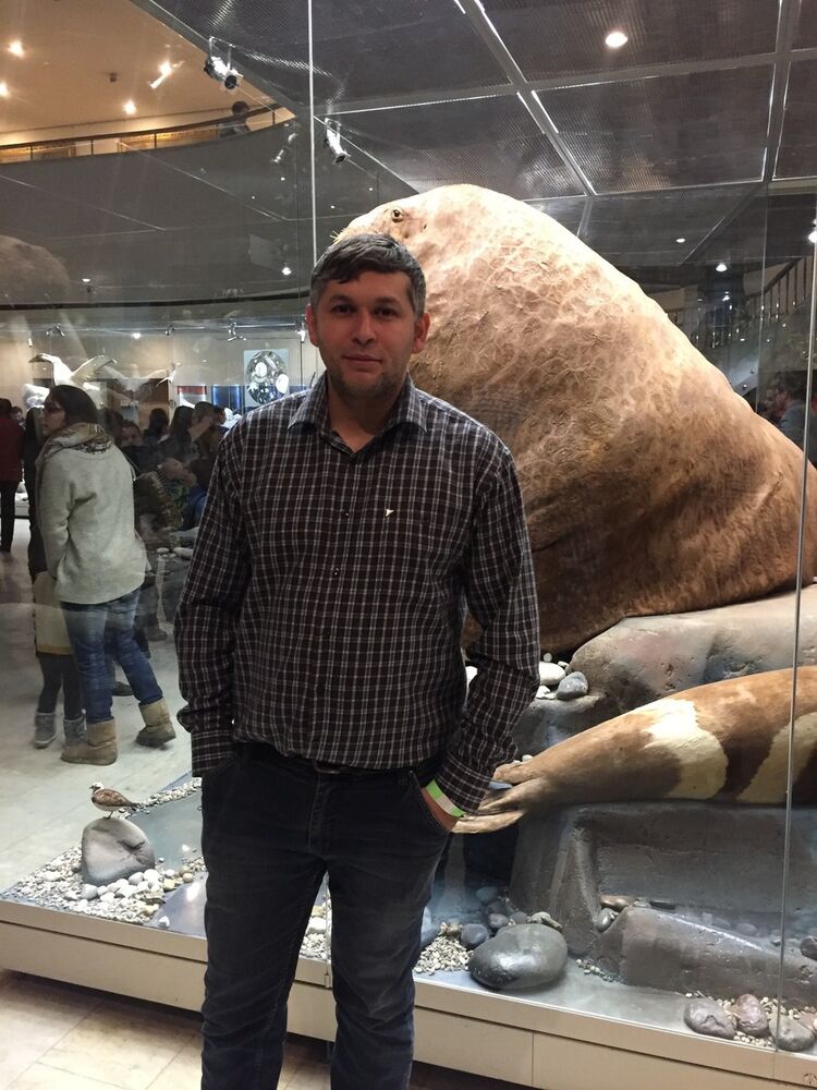 ���������� �����������-��-�����, ���� ������� ����, 41 ���, ������������ ��� ������, ���������