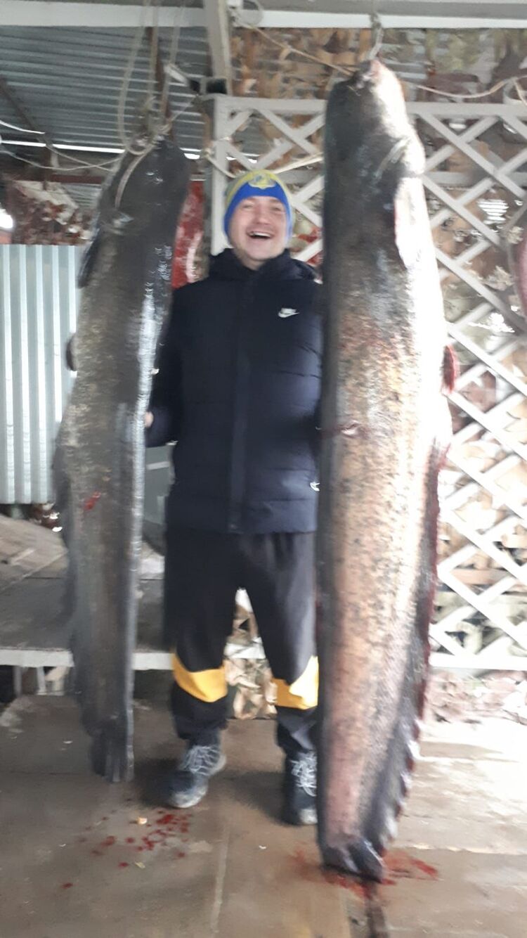  25845375  , 34 ,    