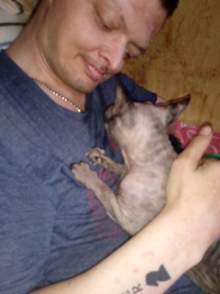  --,   , 42 ,   ,   