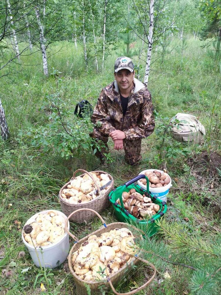 ���������� �����, ���� ������� ������, 56 ���, ������������ ��� ������, ����� � ���������, c�������� ���������