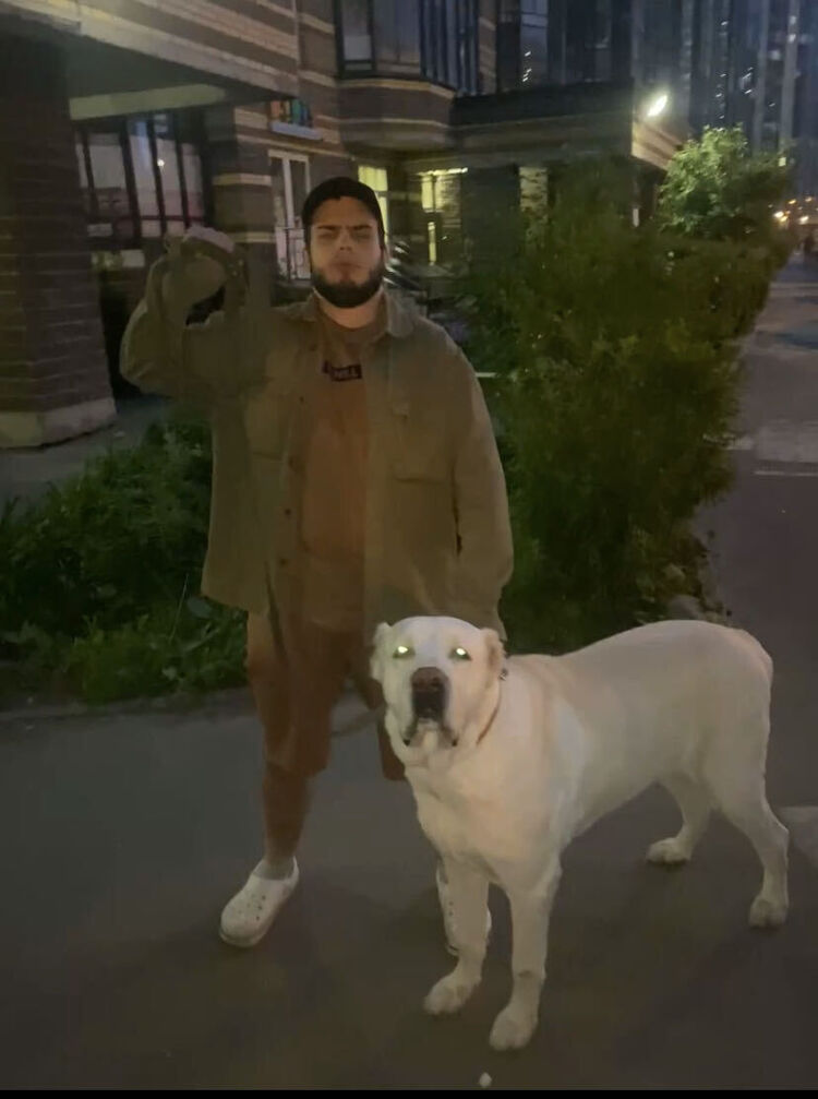 ���������� �����-���������, ���� ����� ����, 23 ����, ������������ ��� ������, ����� � ���������