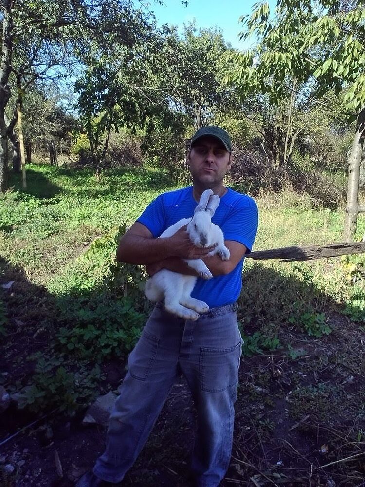 ���� 10416665 ������� ������, 42 ����, ���� ���������� � �������