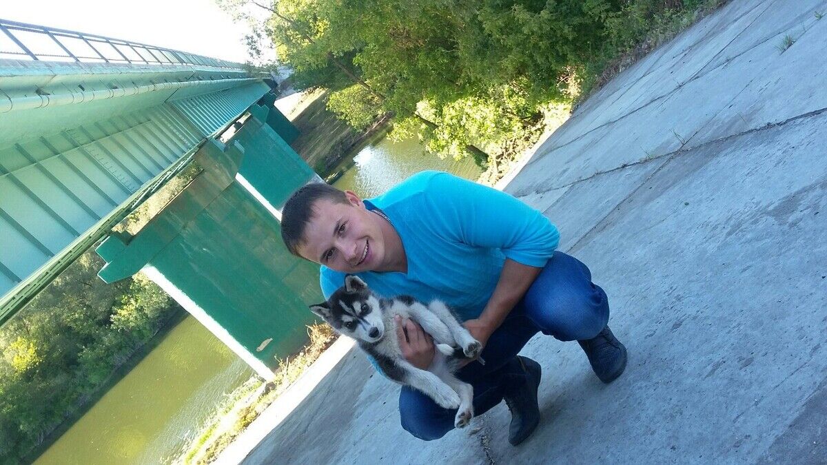 ���������� ������, ���� ������� �����, 37 ���, ������������ ��� ������, ����� � ���������, c�������� ���������