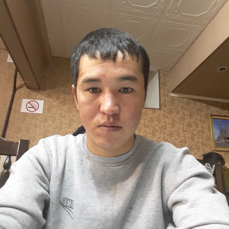  9232815  , 29 ,    