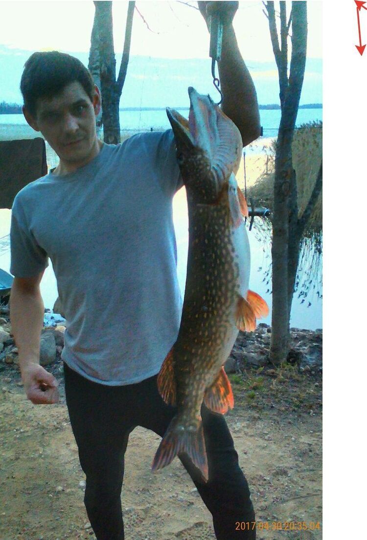 ���������� �������, ���� ������� �����, 36 ���, ������������ ��� ������, ����� � ���������, c�������� ���������