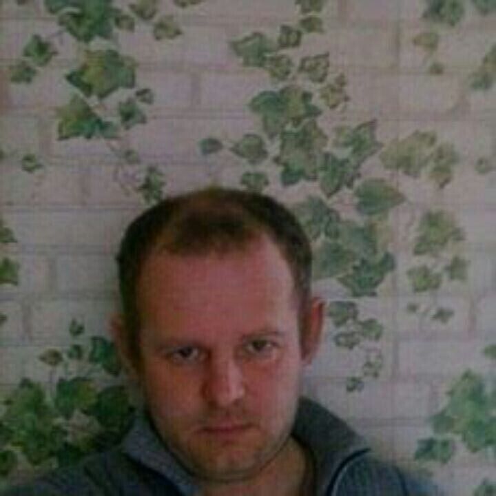  39526695  , 50 ,    