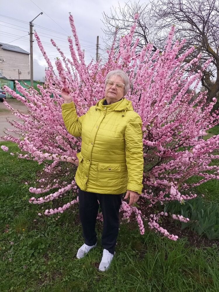 ���� 55788075 ������� �����, 66 ���, ���� ���������� � ����������