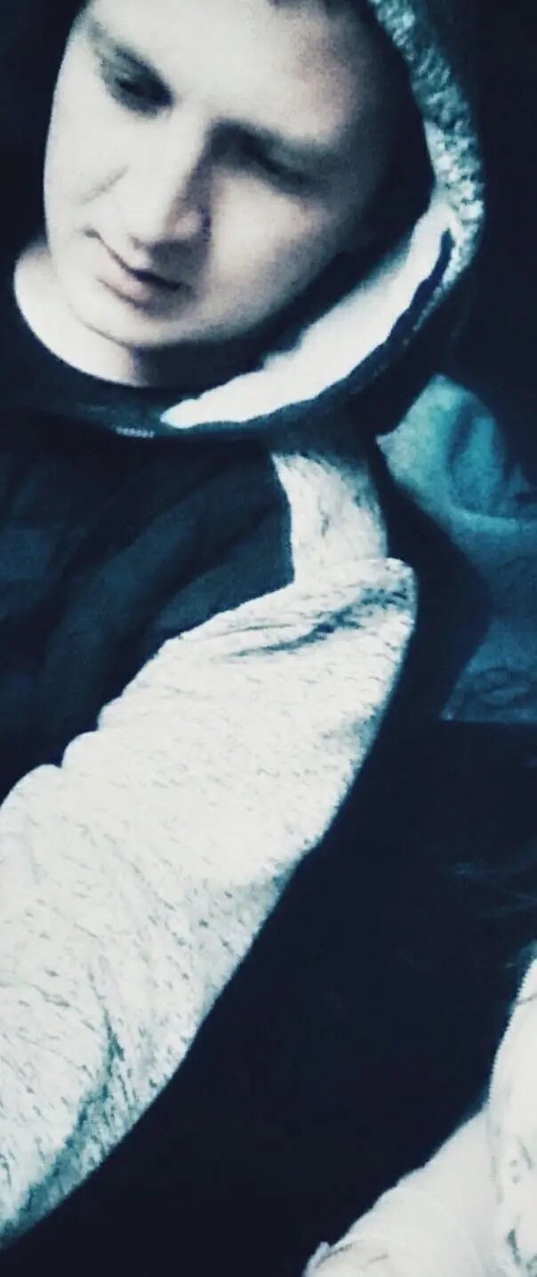  33221715  Viktor, 33 ,    --