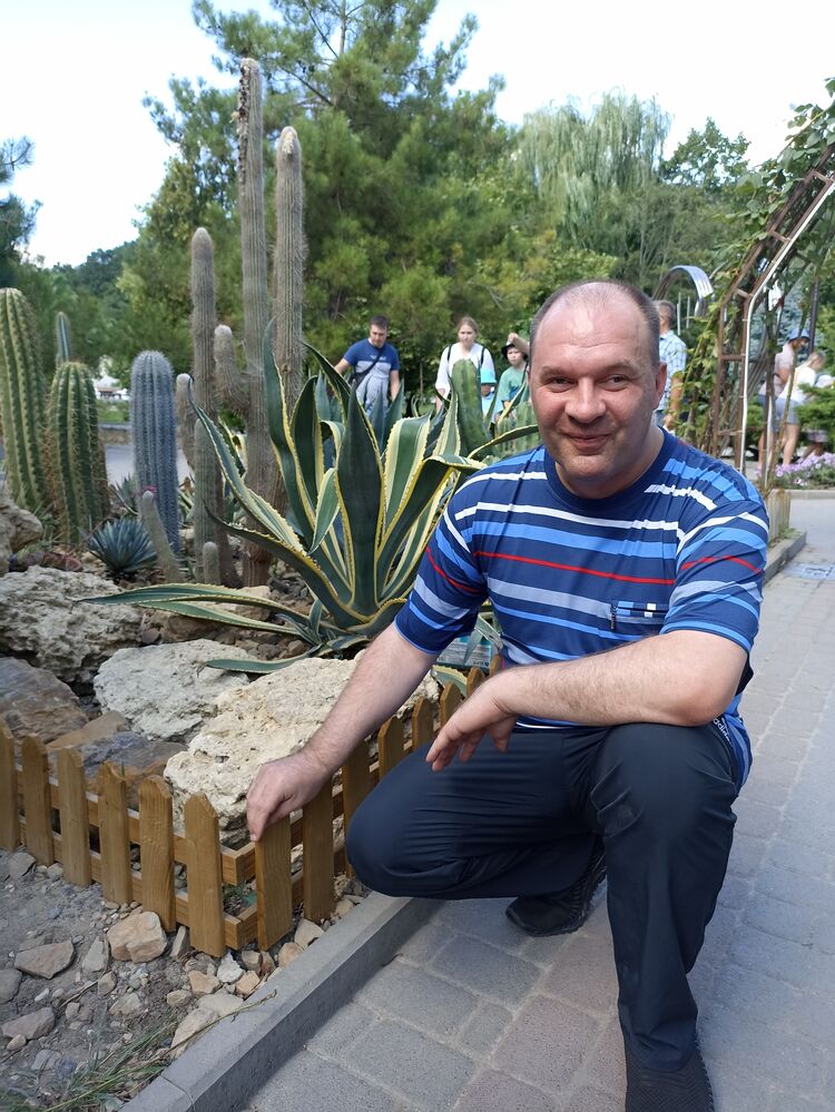 ���� 56130535 ������� ��������, 46 ���, ���� ���������� � �������������