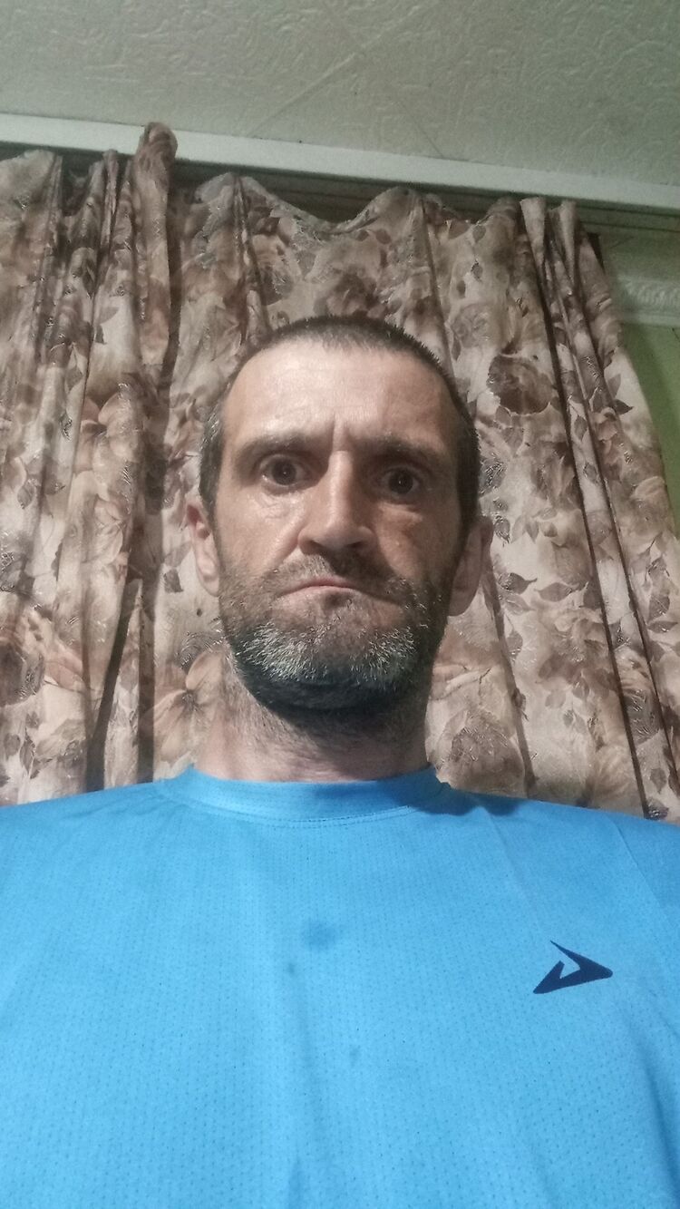  53274835  , 44 ,    