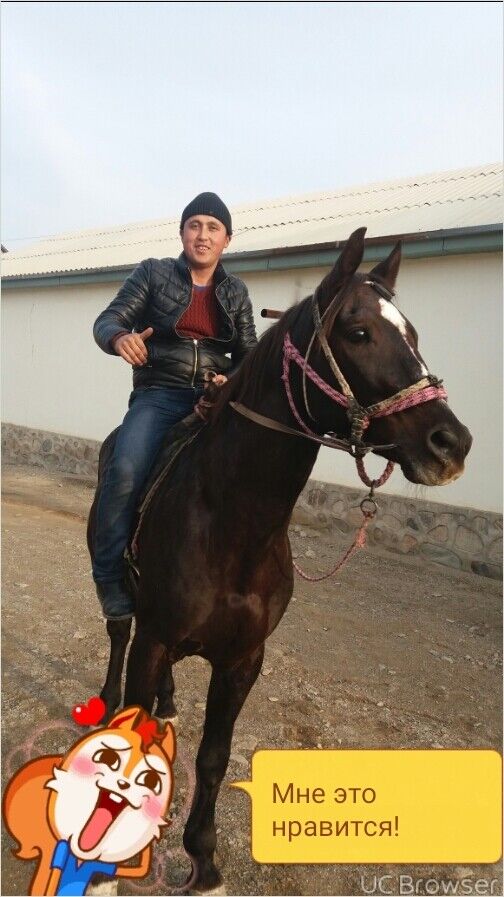  ,   Oybek, 29 ,   