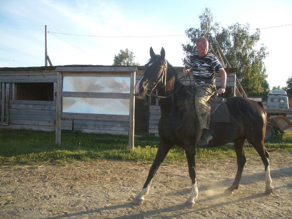  19638155  Romario, 41 ,    