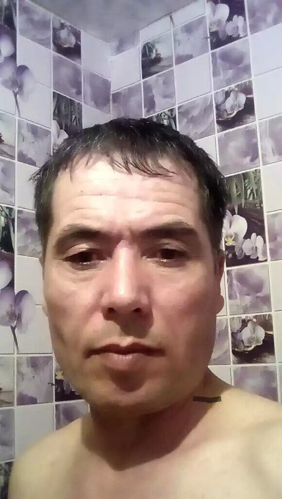  43956915  , 53 ,    