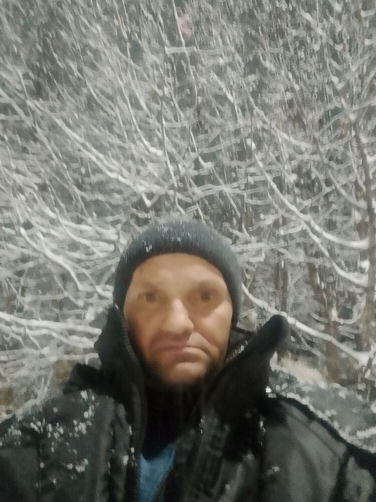  54602485  , 43 ,    -