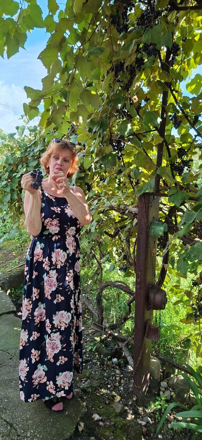 ���������� ����, ���� ������� �����, 60 ���, ������������ ��� ������, ����� � ���������