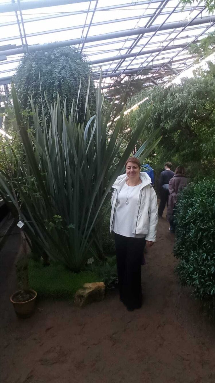  -,   , 56 ,     , c , 