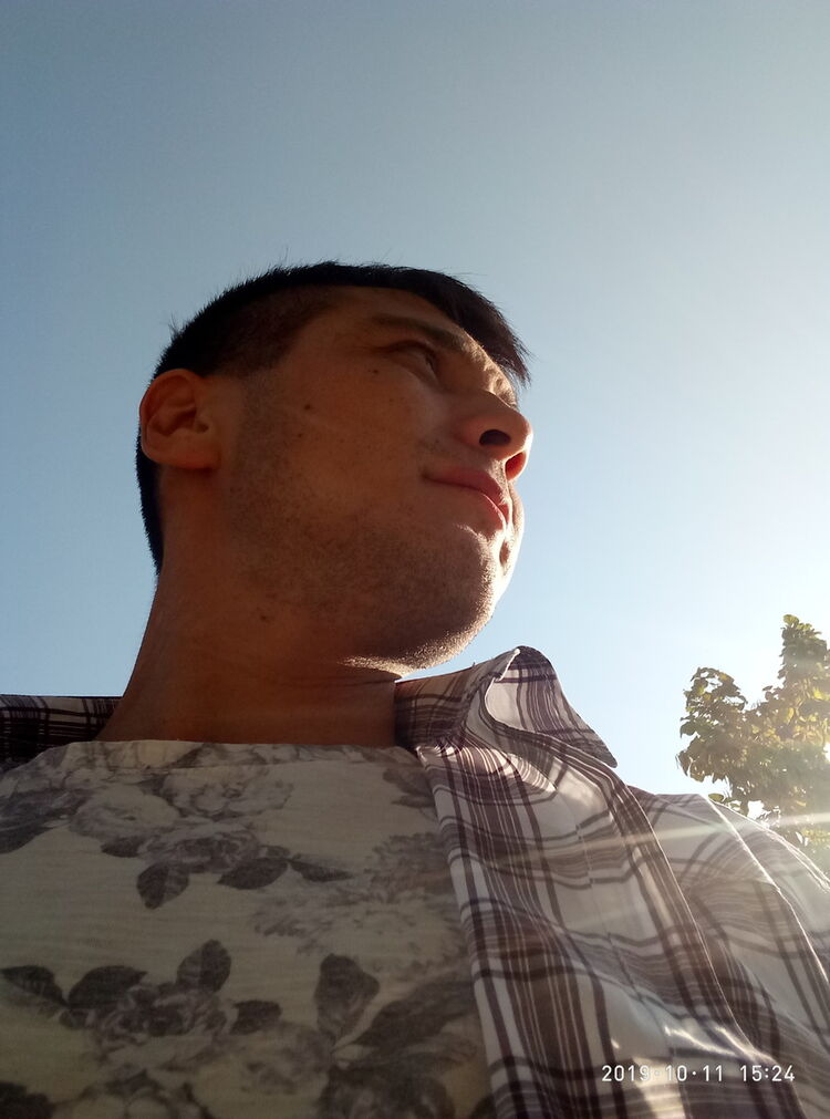 ���� 17833995 ������� ����, 36 ���, ���� ���������� � �������