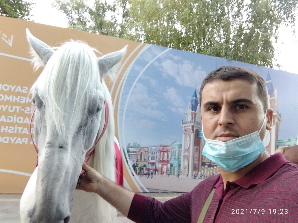 ���� 23341615 ������� �����, 38 ���, ���� ���������� � ������