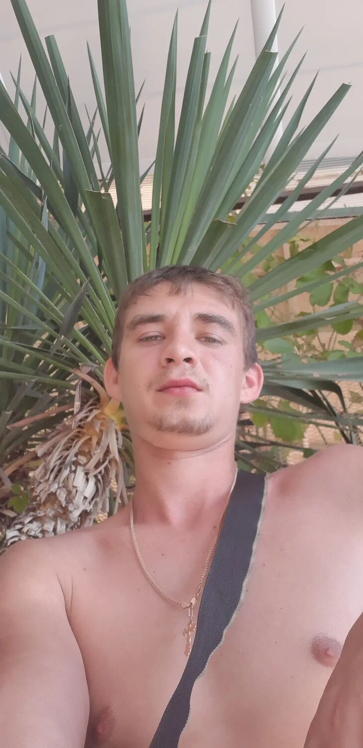  31250785  , 31 ,    