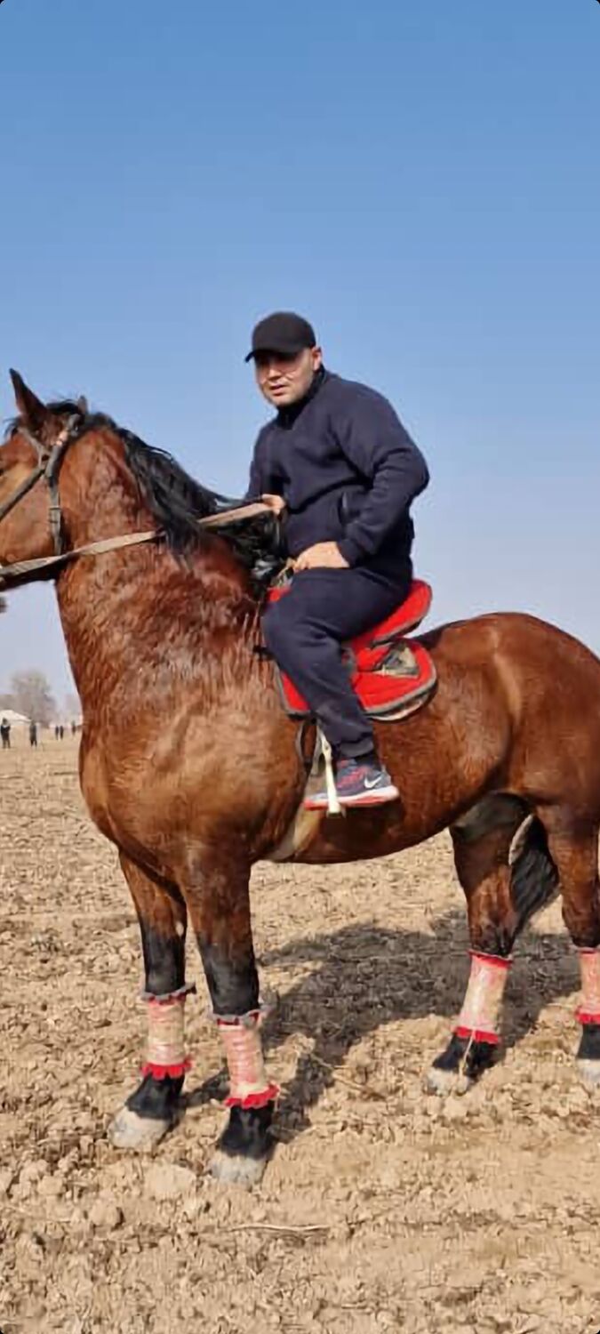 ���� 32784245 ������� ����, 43 ����, ���� ���������� � �������������