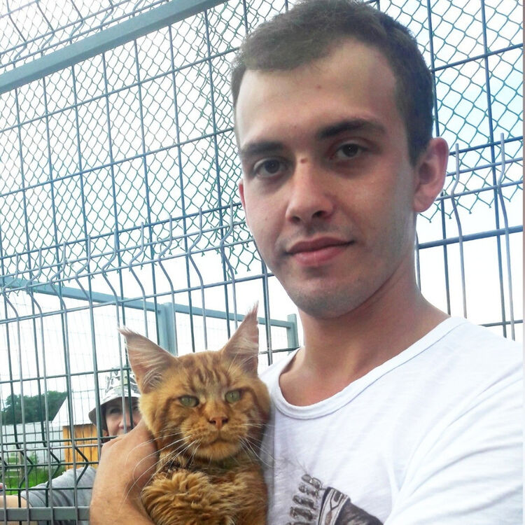 ���� 16400335 ������� ���������, 30 ���, ���� ���������� � �������������